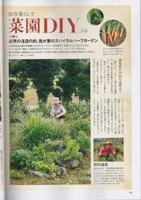 NHK菜園02　14.07.jpg